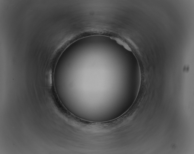 X0000091170020200708231516