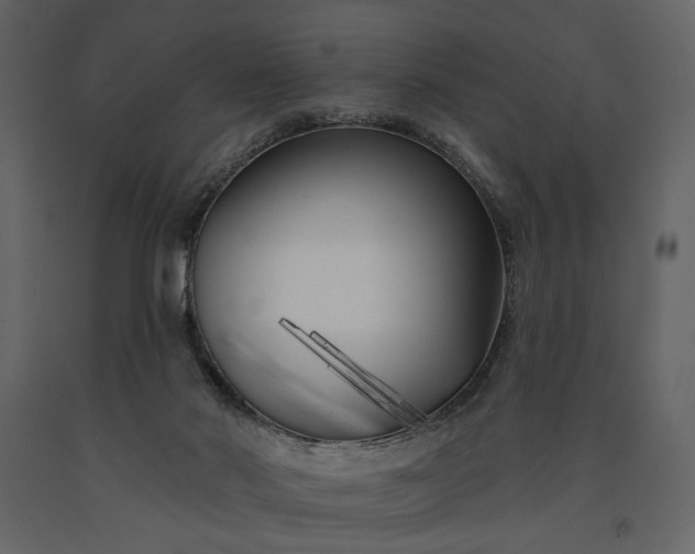 X0000091170022200708231516