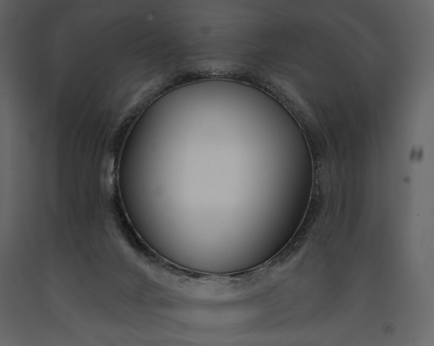 X0000091170024200708231516