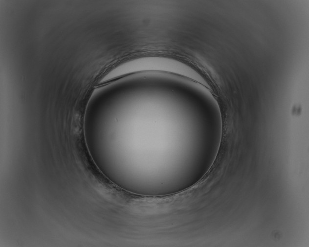 X0000091170025200708231516