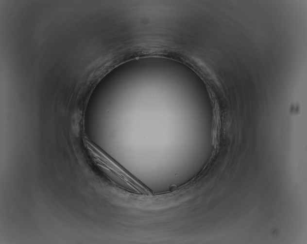 X0000091170026200708231516