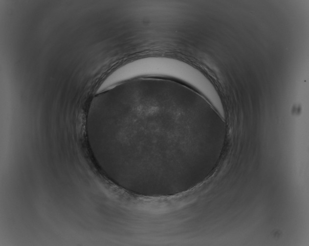 X0000091170029200708231516