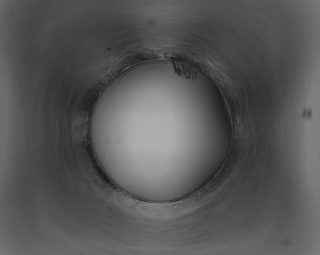 X0000091170030200708231515