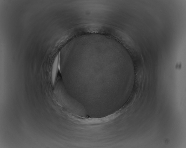 X0000091170031200708231515