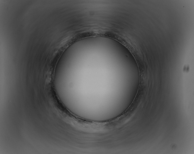 X0000091170032200708231515