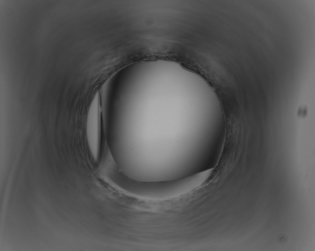 X0000091170033200708231515