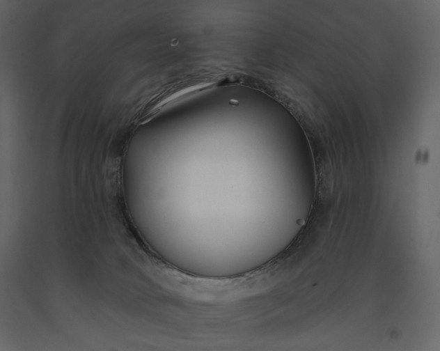 X0000091170034200708231515