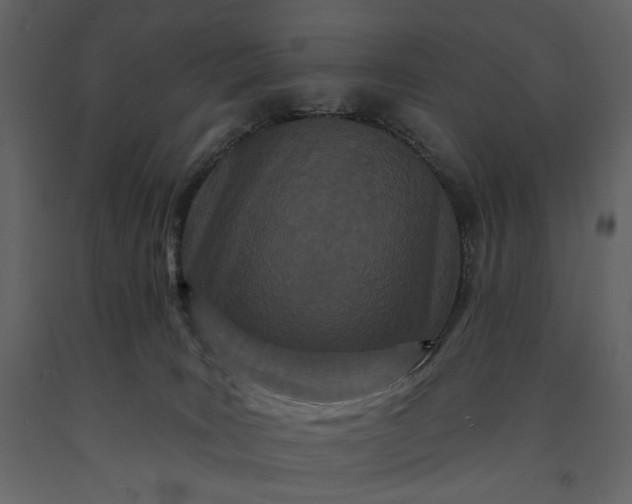 X0000091170035200708231515