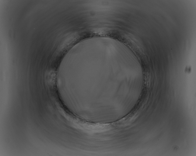 X0000091170036200708231515