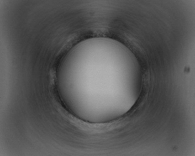 X0000091170038200708231515