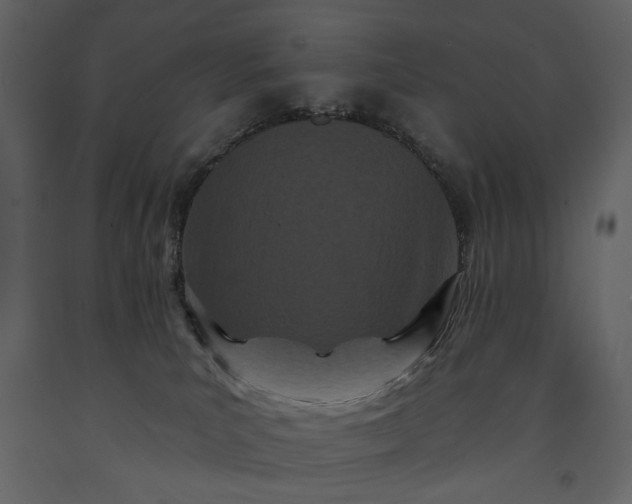 X0000091170039200708231515