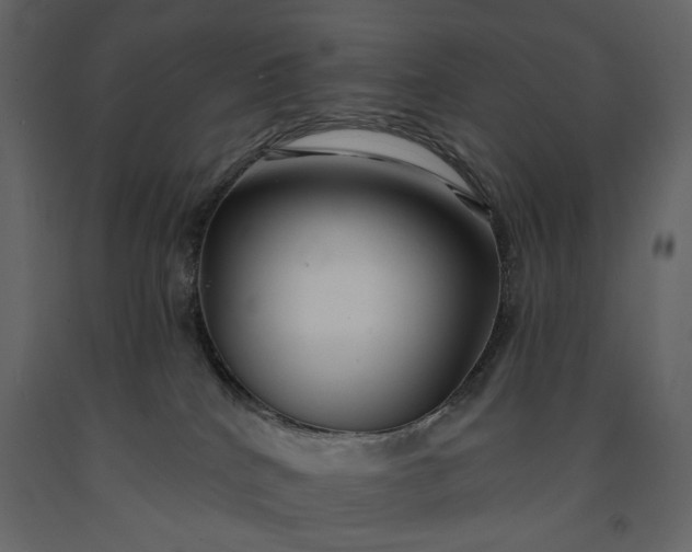 X0000091170040200708231515