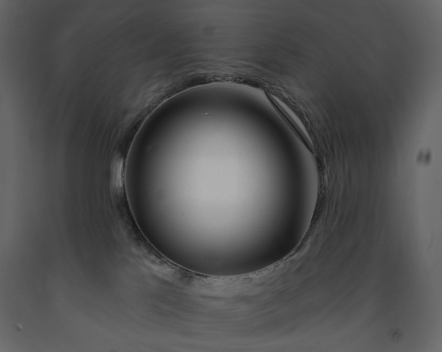 X0000091170041200708231515