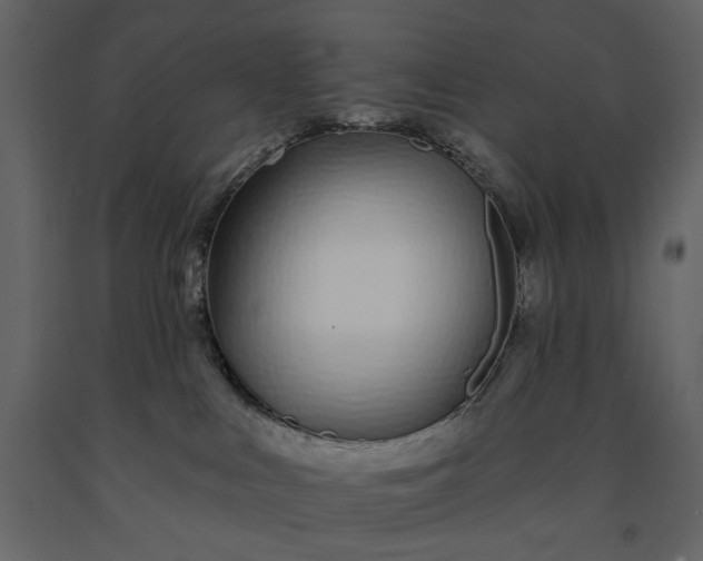 X0000091170043200708231515