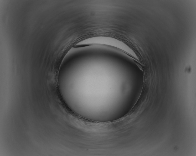 X0000091170044200708231515