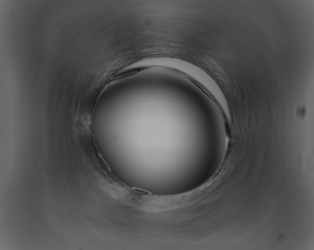 X0000091170045200708231515