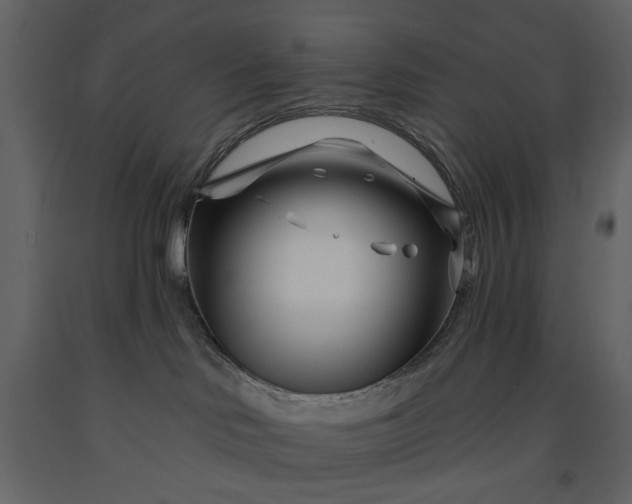 X0000091170046200708231515