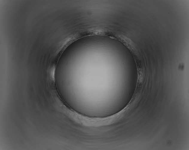 X0000091170047200708231515