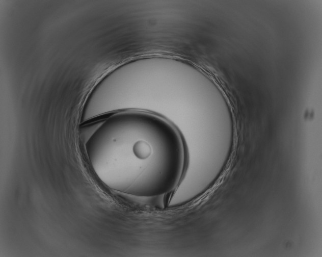 X0000091170049200708231515