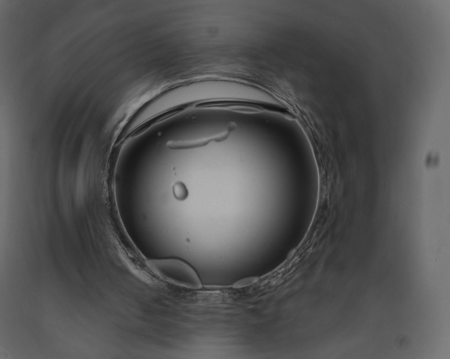 X0000091170050200708231515