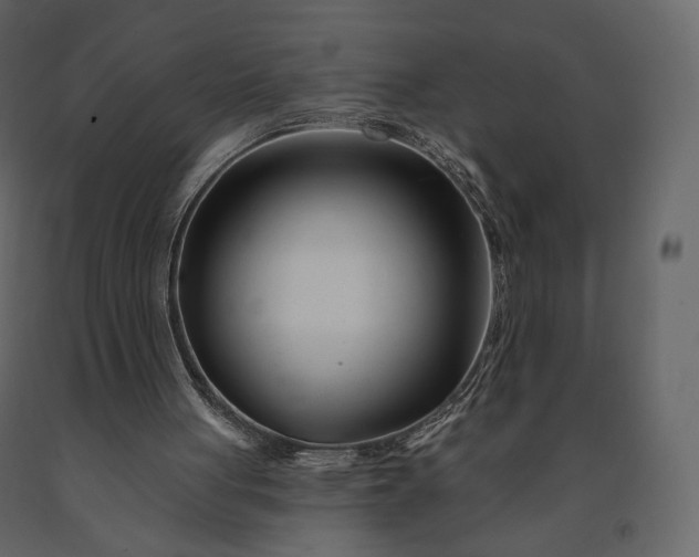 X0000091170051200708231515