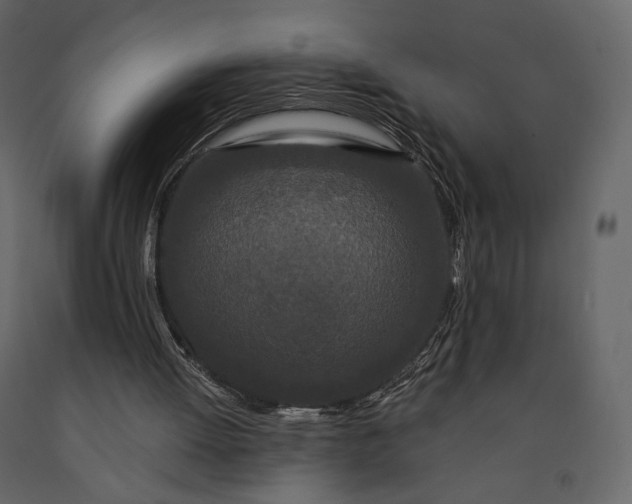 X0000091170052200708231515