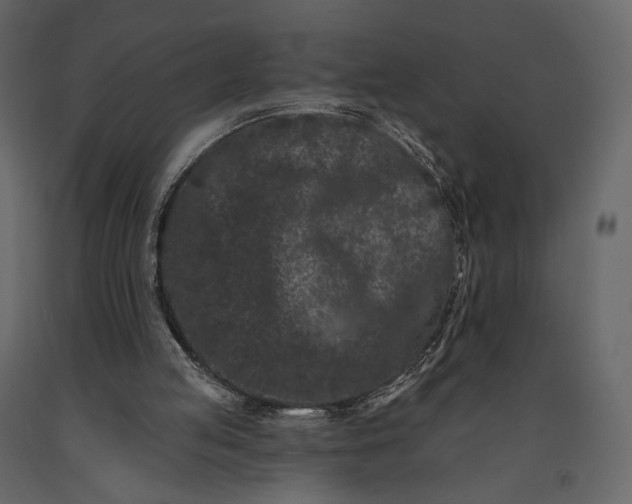 X0000091170053200708231515