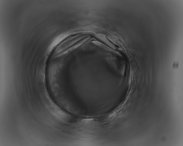 X0000091170054200708231515