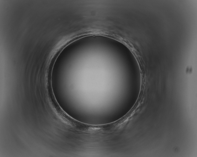 X0000091170055200708231515