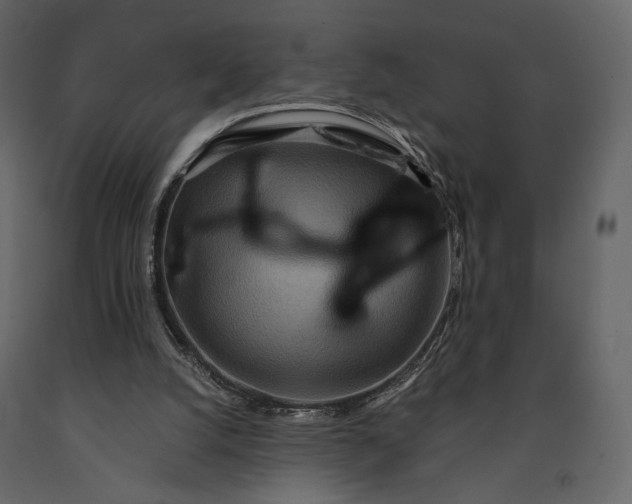 X0000091170056200708231515