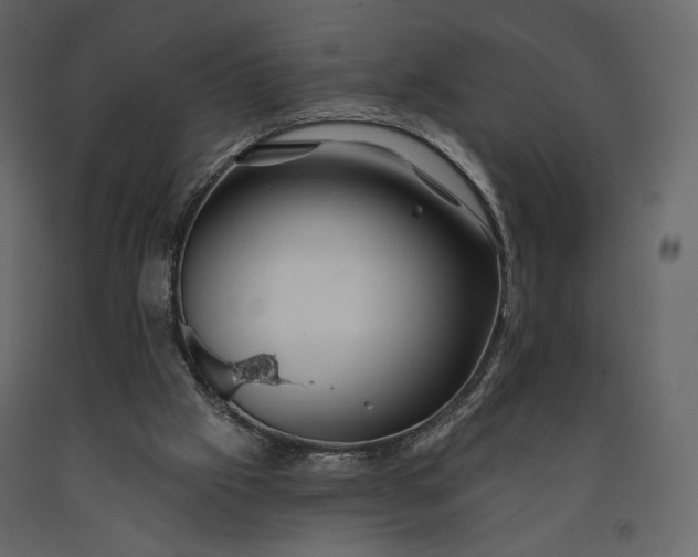 X0000091170057200708231515