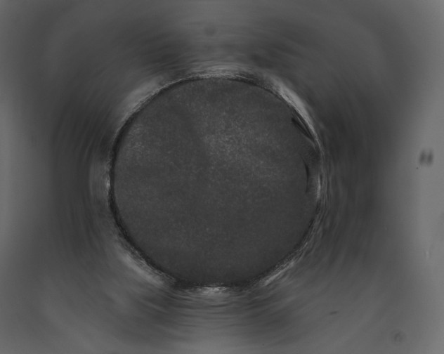 X0000091170059200708231515