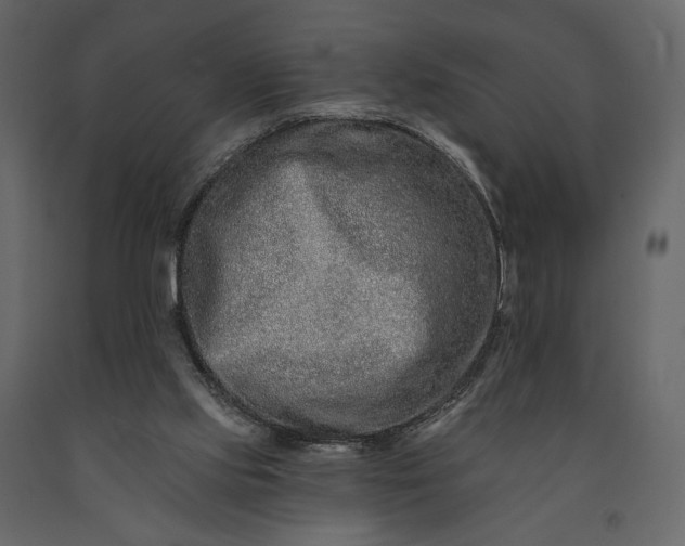 X0000091170061200708231515