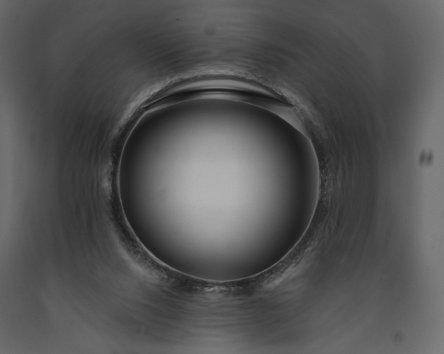 X0000091170064200708231515