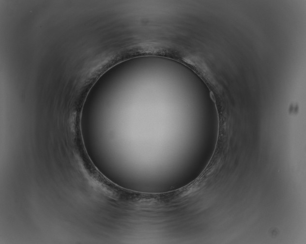 X0000091170066200708231515