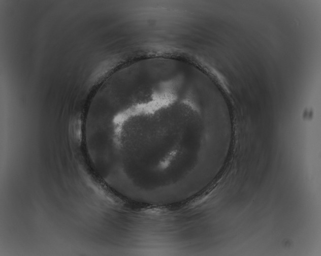 X0000091170067200708231515