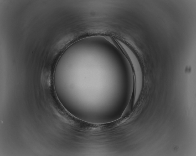 X0000091170068200708231515