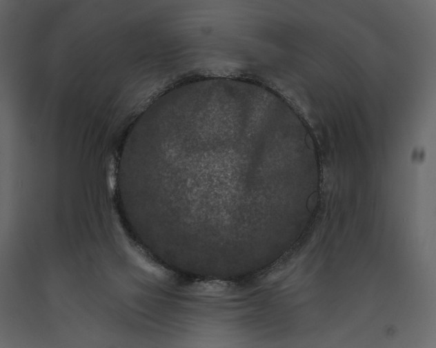 X0000091170069200708231515