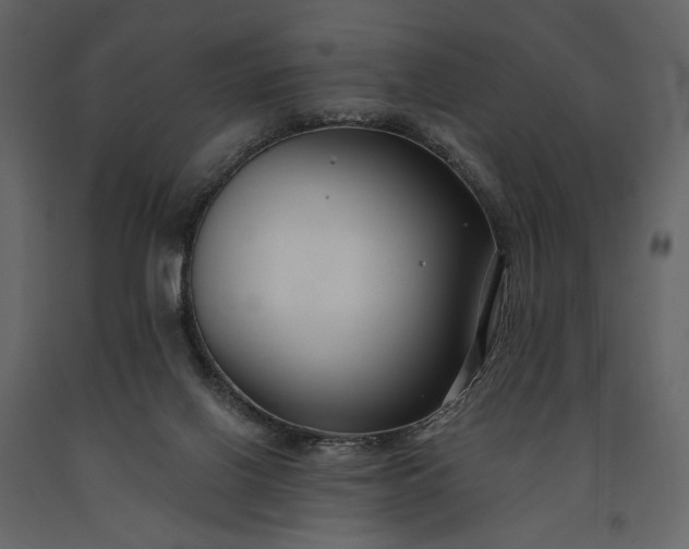 X0000091170070200708231515