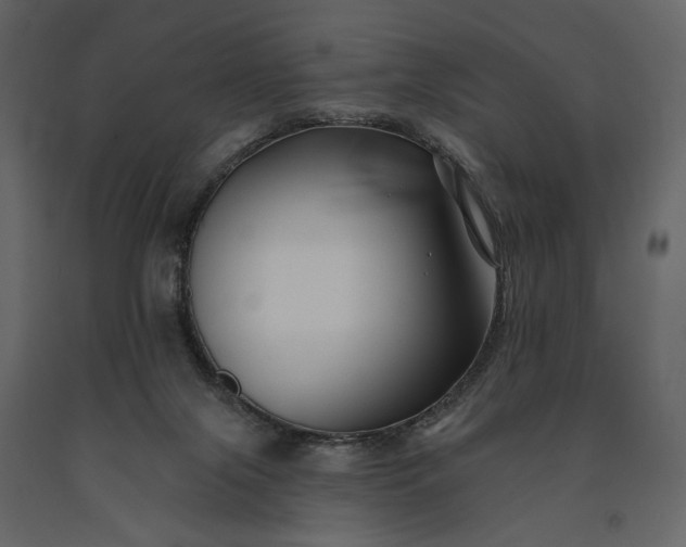 X0000091170071200708231515