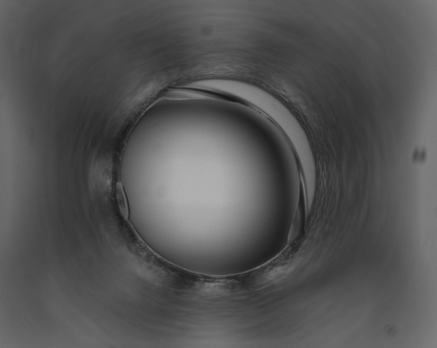 X0000091170072200708231515