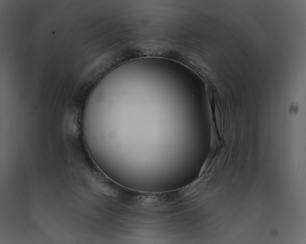 X0000091170074200708231515