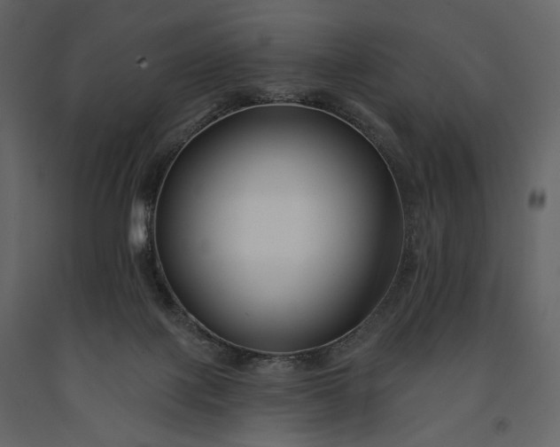 X0000091170075200708231515