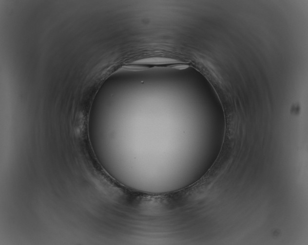 X0000091170077200708231515