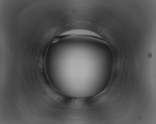 X0000091170078200708231515