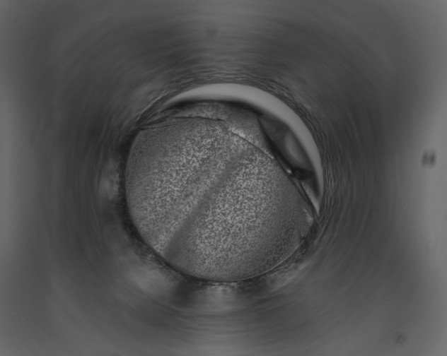 X0000091170080200708231515