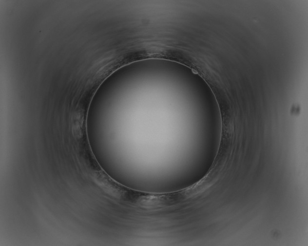 X0000091170082200708231515