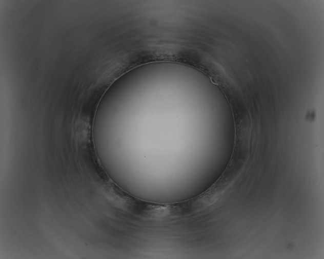 X0000091170083200708231515