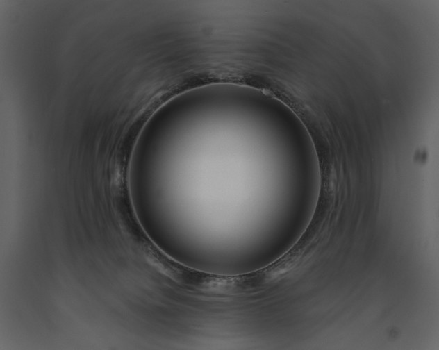 X0000091170084200708231515