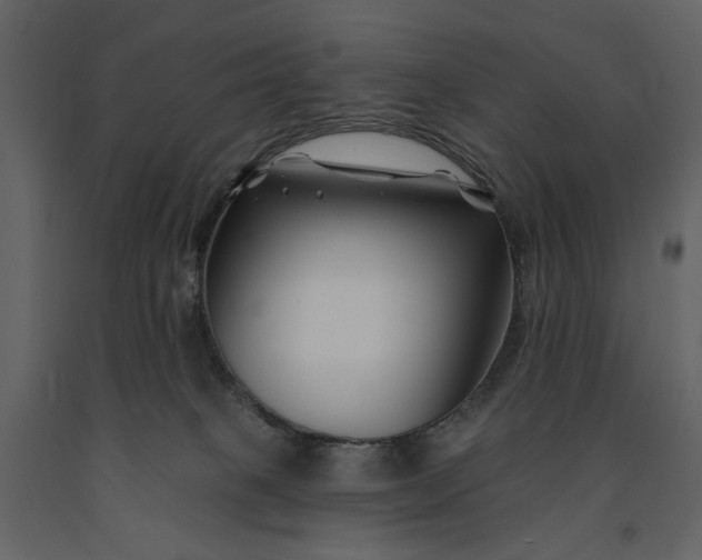 X0000091170085200708231515